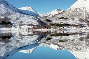 Kvaloya Prints: Snow-covered mountains with a perfect reflection in flat calm waters of Sorfjorden