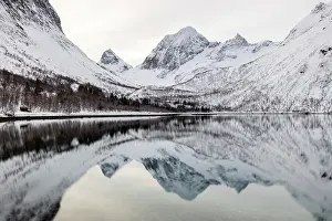 Bergsbotn Prints: Snow-covered mountains reflecting in Bergsfjord