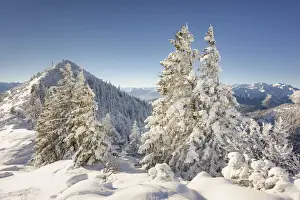 Magical Prints: Snow covered spruce trees at Herzogstand with a view of Martinskopf 1675 m, Heimgarten