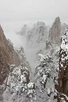 Images Dated 30th July 2012: Snow, Huangshan or Yellow Mountains, Anhui Province, China
