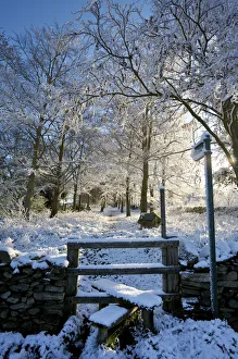 Leicestershire Prints: Snow in Rural England, UK, Leicestershire, England, UK