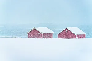 Nordland County Prints: Snow storm over traditional red cabins by the frozen sea, Troms county, Norway