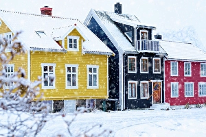 City Life Prints: Snowfall over multicolored houses, Kabelvag, Svolvaer Lofoten Islands, Nordland, Norway