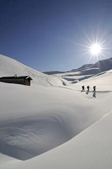 Snowshoe, Rosswildalm, Tristkopf, Kelchsau, Tyrol, Austria, (MR)
