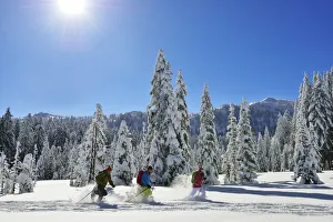 Snowshoeing on the Fellhorn, Reit im Winkl, Bayern, Germany, MR