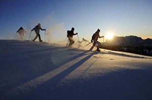 Activities Gallery: Snowshoeing, Hemmersuppenalm, Reit im Winkl, Bavaria, Germany (MR)