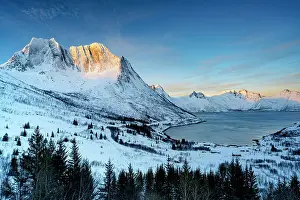 Breidtinden Prints: Snowy forest with Breidtinden mountain and fishing village of Mefjordbotn on background