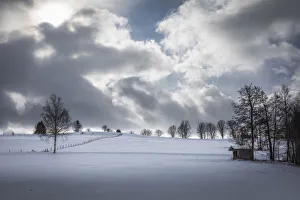 Windy Prints: Snowy landscape near Bad Bayersoien, Upper Bavaria, Bavaria, Germany