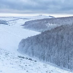 Images Dated 6th April 2021: Snowy Melbury Down and Melbury Wood from Ashmore Down, Cranborne Chase, Dorset, England