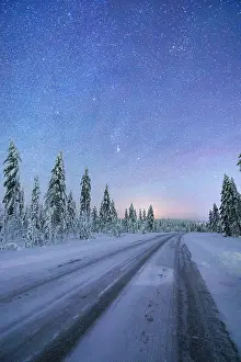 Road Trip Prints: Empty snowy road crossing a frozen forest under the Northern Lights sky