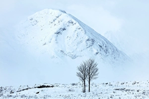 Highand Prints: Snowy winter landscape, Rannoch Moor, Highand, Scotland