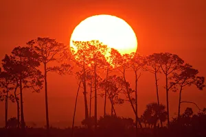 Sunrises Prints: Snrise over the salt marshesu, St. Marks NWR, Florida, USA