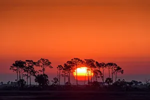 Florida Panhandle Prints: Snrise over the salt marshesu, St. Marks NWR, Florida, USA