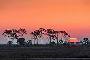 Florida Panhandle Prints: Snrise over the salt marshesu, St. Marks NWR, Florida, USA