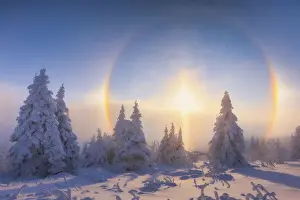Winter Forest Prints: Solar halo in deep snow-covered winter landscape at Fichtelberg at sunset