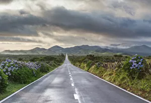 Empty Gallery: An empty and solitary road. Pico island, Azores islands, Portugal