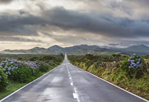 Empty Gallery: An empty and solitary road. Pico island, Azores islands, Portugal