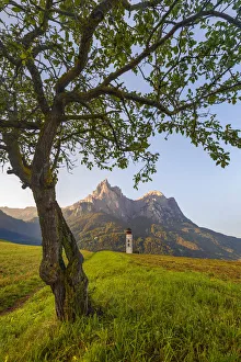 Alpi Orientali Prints: Solitary tree frame the Sciliar Dolomites, San Valentino church, Siusi Allo Sciliar