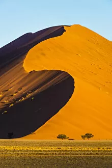 Africa Gallery: Sossusvlei, Namib-Naukluft National Park, Namibia, Africa. Giant sand dunes