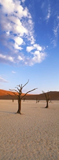 Dead Cities Prints: Sossusvlei, Namib-Naukluft Park, Namibia, Africa