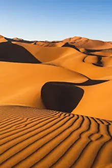 Dune Prints: Sossusvlei sand dunes, Namib-Naukluft National Park, Namibia, Africa