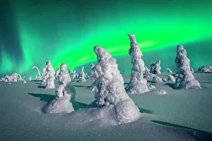 Shape Prints: Souce trees covered in snowand ice with Northern Lights