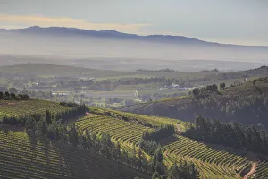 South Africa, Western Cape, Paarl, Doolhof Wine Estate