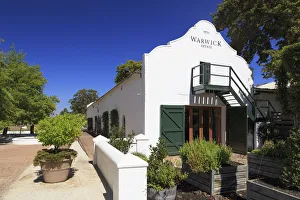 South Africa, Western Cape, Paarl, Warwick Wine Estate