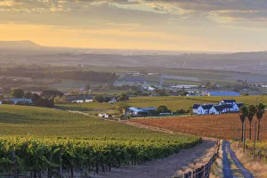 South Africa, Western Cape, Stellenbosch, Hidden Valley Wine Estate