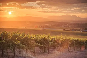 South Africa, Western Cape, Stellenbosch, Hidden Valley Wine Estate