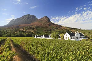 Images Dated 6th July 2016: South Africa, Western Cape, Stellenbosch, Zorgvliet Wine Estate