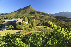 South Africa, Western Cape, Stellenbosch, Tokara Wine Estate
