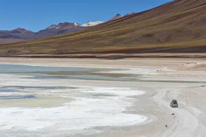 South America, Andes, Altiplano, Bolivia, Laguna Verde