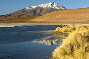 Images Dated 11th May 2017: South America, Andes, Altiplano, Bolivia, Laguna Hedionda with OllagAA┬╝e Volcano in