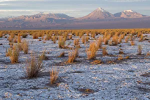 South America, Andes, Atacama, San Pedro de Atacama, Salar de Atacama, Volcan Licancabur