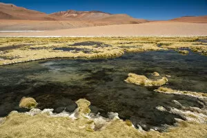 Images Dated 2nd July 2020: South America, Andes, Atacama, San Pedro de Atacama, Altiplano landscape