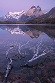 South America, Andes, Patagonia, Torres del Paine National Park, first light and Cuernos