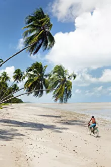 South America, Brazil, Alagoas, Praia do Patacho, a cyclist pedalling along the beach