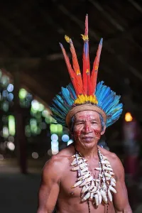 Headdress Prints: South America, Brazil, Amazonas