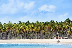 Images Dated 22nd February 2019: South America, Brazil, Bahia, Tinhare island, Boipeba, an idyllic beach on Boipeba island