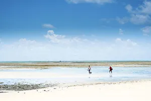 Fisher Prints: South America, Brazil, Bahia, Tinhare island, Boipeba, local fishermen on an idyllic