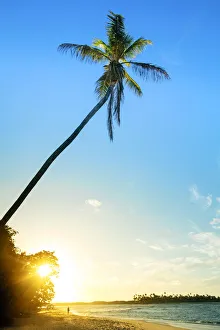 South America, Brazil, Bahia, Tinhare island, Boipeba, an idyllic beach on Boipeba