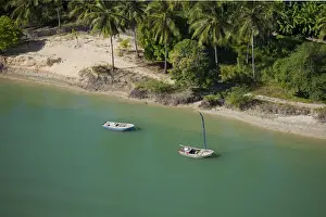 South America, Brazil, Ceara, jangada fishing boats moored in a river near Jericoacoara