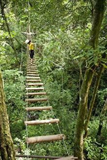 Images Dated 4th December 2012: South America, Brazil, Goias, Pirenopolis, treetop adventures in the Fazenda Vagafogo