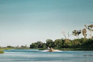 Mato Grosso Prints: South America, Brazil, Mato Grosso, Pantanal