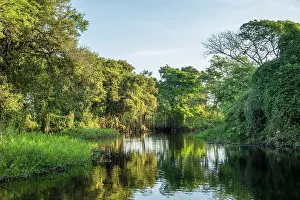 Mato Grosso Prints: South America, Brazil, Mato Grosso, Pantanal