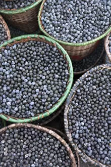 Images Dated 28th November 2012: South America, Brazil, Para, Amazon, baskets of acai berry at the morning acai market