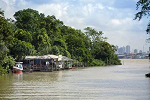 South America, Brazil, Para state, Belem, an igarape (creek) lined with varzea forest
