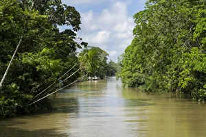 South America, Brazil, Para state, Belem, an igarape (creek) lined with varzea forest