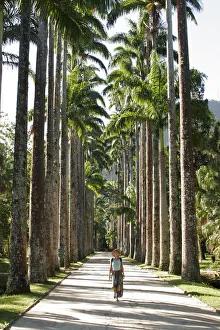 South America, Brazil, Rio de Janeiro State, Rio de Janeiro city, the avenue of royal